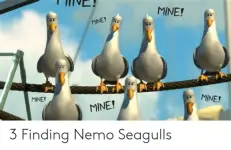mine-mine-mine-mine-mine-3-finding-nemo-seagulls-53079373.png