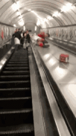 escalator.gif