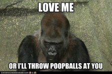 emotional-blackmail-ape.jpg