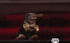 i-kid-triump-the-insult-dog.gif