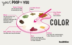 7561-001-your-poop-and-you-color-1296x728-body.jpg