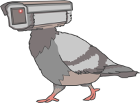 pigeons-arent-real-drone.png