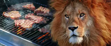 lion-gas-grills-3299575531.png