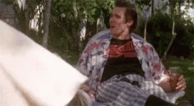 1744415844383.gif
