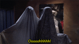 1746103972388.gif