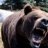 BlackBear