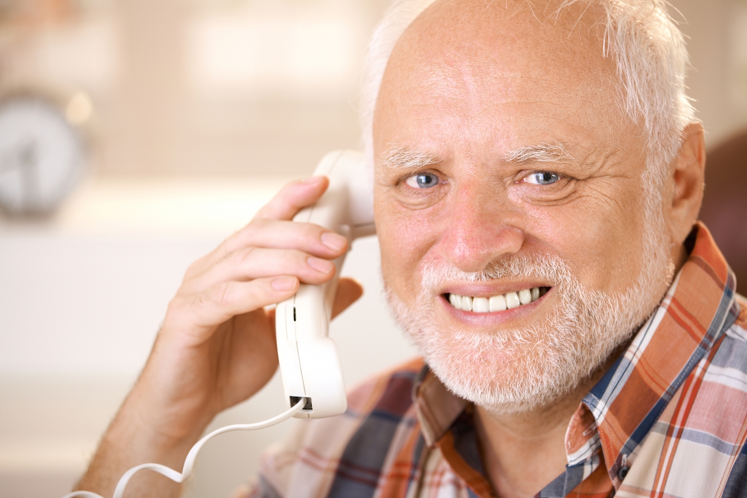 hide the pain harold phone Blank Template - Imgflip