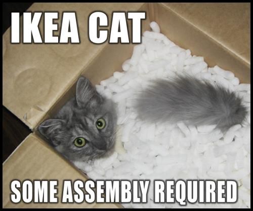 081227-ikea-cat-assembly.jpg