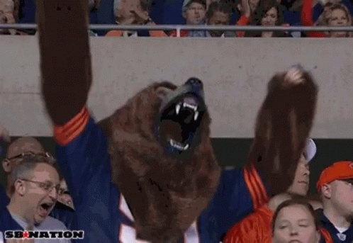chicago-bears-fans.gif