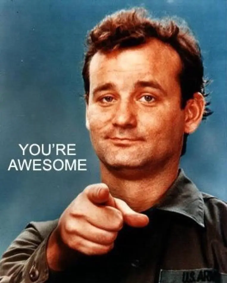 Bill-Murray-Youre-Awesome-e1356137950737.jpg