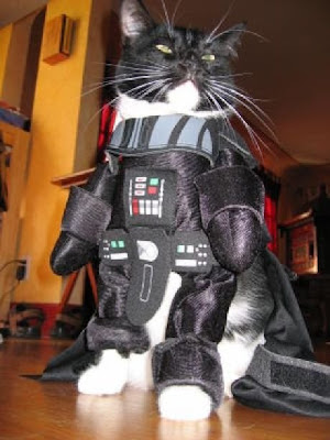 dark-vader-cat.jpg