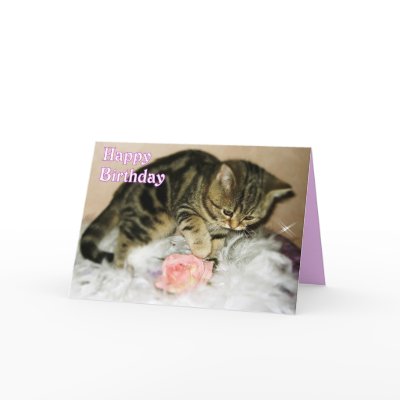 happy_birthday_tabby_kitten_birthday_card-p137138948941199602q6ay_400.jpg