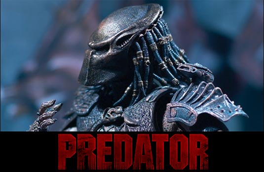 predator_photo.jpg