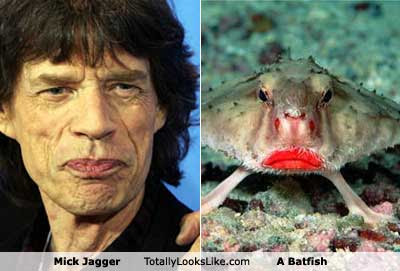 mick-jagger.jpg