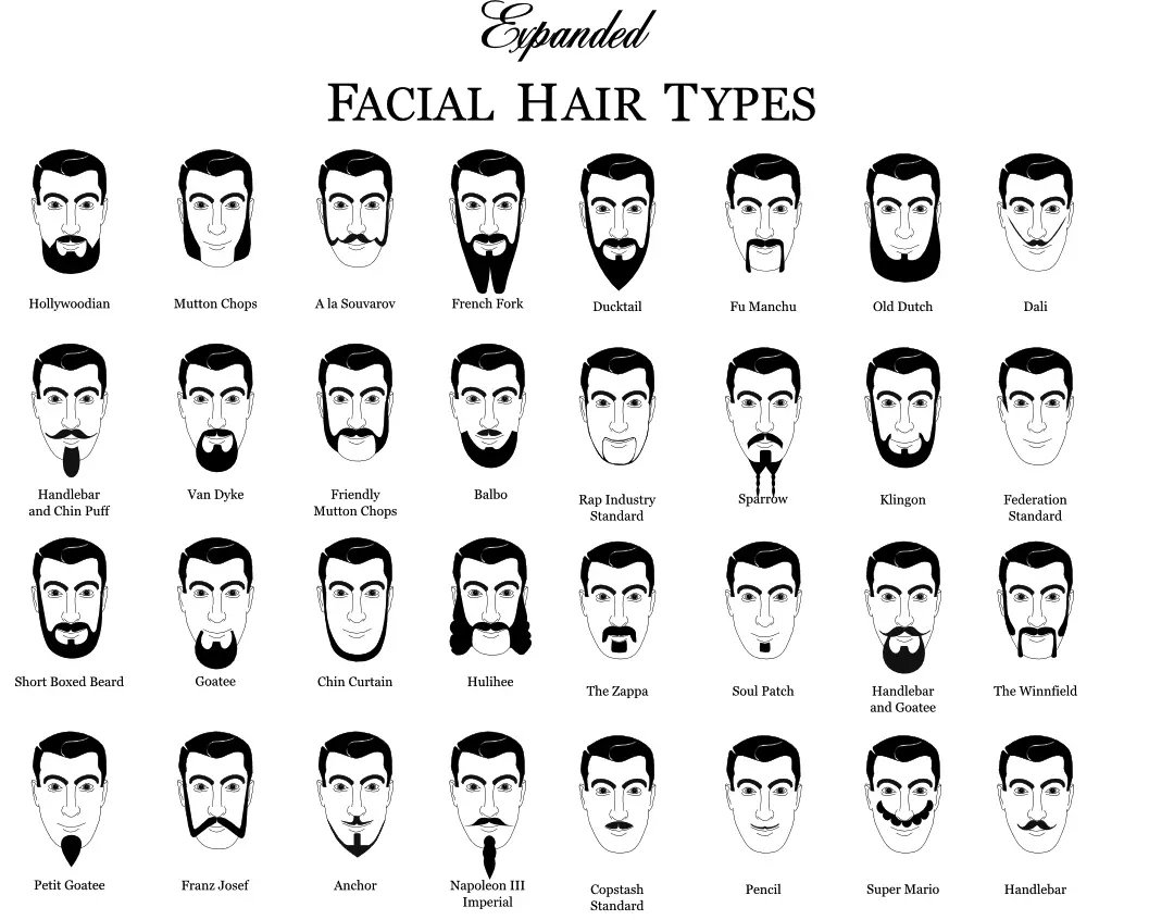 beard-chart-graphic-design-7.jpg