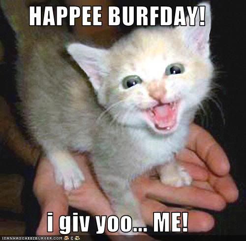 kittybday.jpg