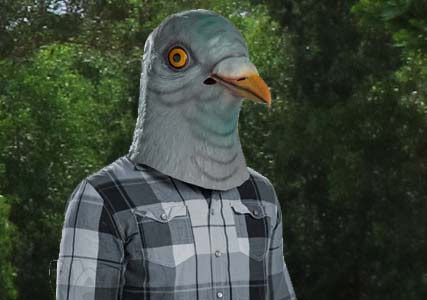 pigeor-head-mask.jpg