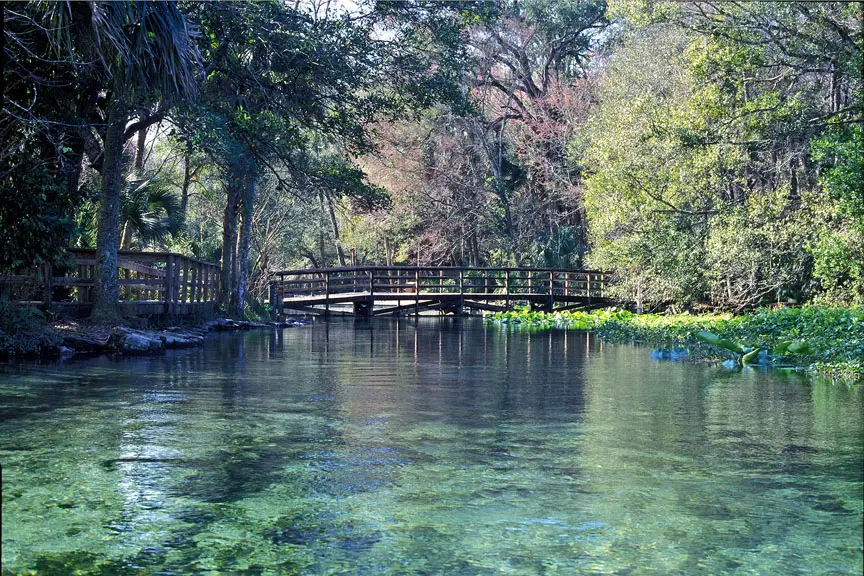 wekiwa-springs-bridge-fl.jpg