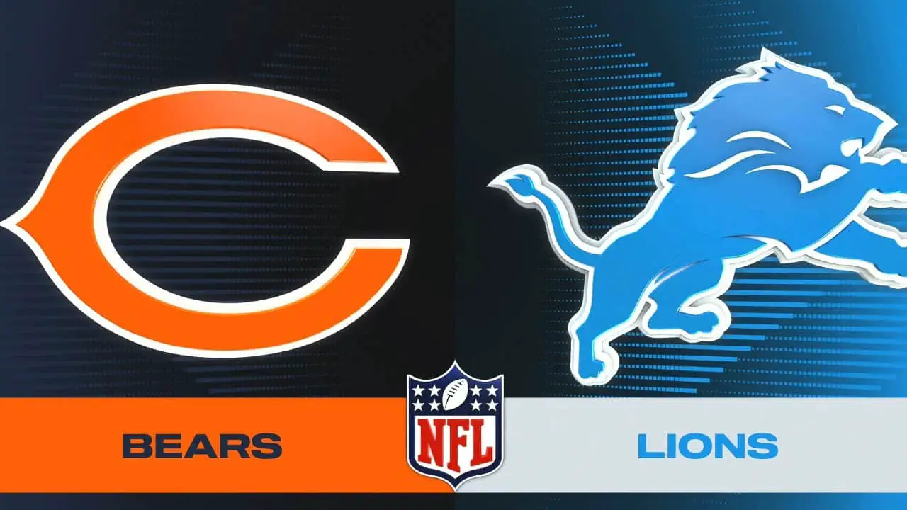 bears-vs-lions.jpeg