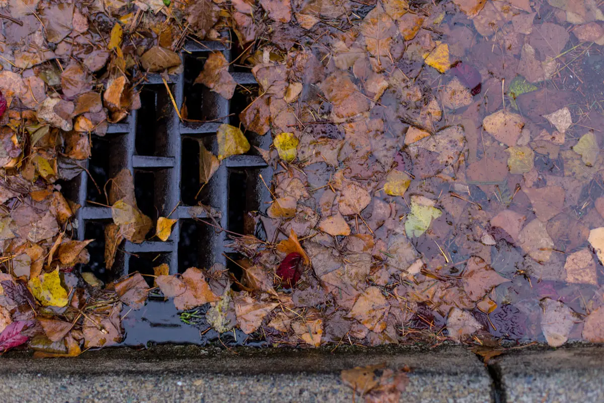 clogged-storm-drain.jpg