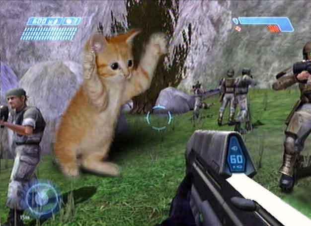 Halo_CAT_ATTACK.JPG