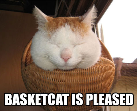 080426-basketcat-is-pleased.jpg