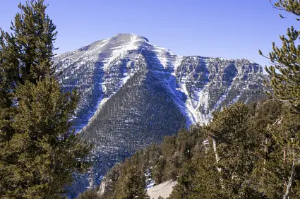 Mount-Charleston.jpg