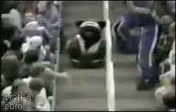 WPi.gif