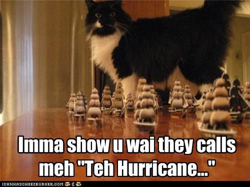 9675f_funny-pictures-cat-will-be-a-hurricane.jpg