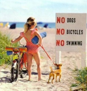 no_swimming_dogs.jpg