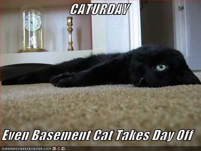 baysment_caturday.jpg