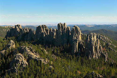 12244-black-hills-custer-state-park.jpg