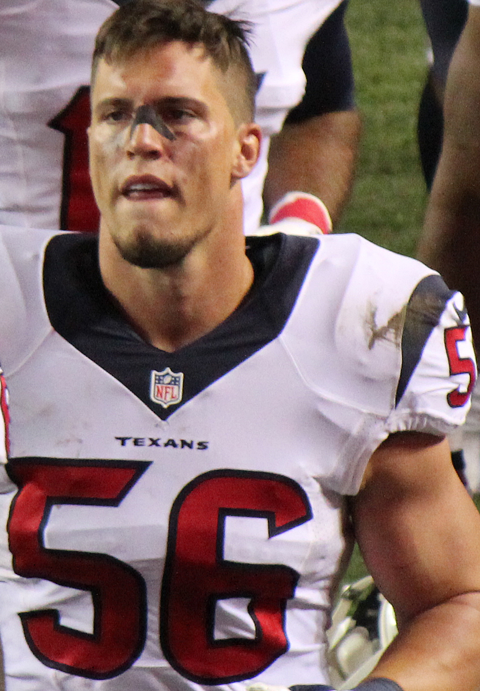 Brian_Cushing_2014.JPG