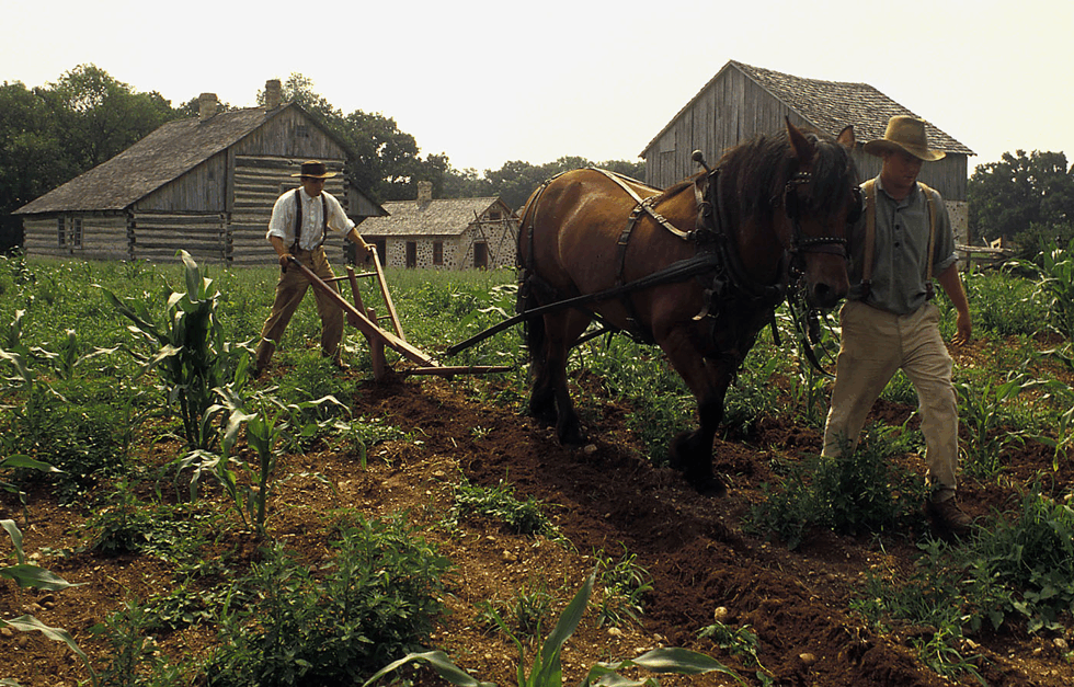 horse-and-plow_oww200g140.gif