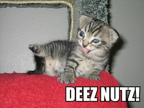 deez-nutz.jpg