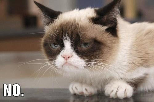 grumpy-cat-no.jpg