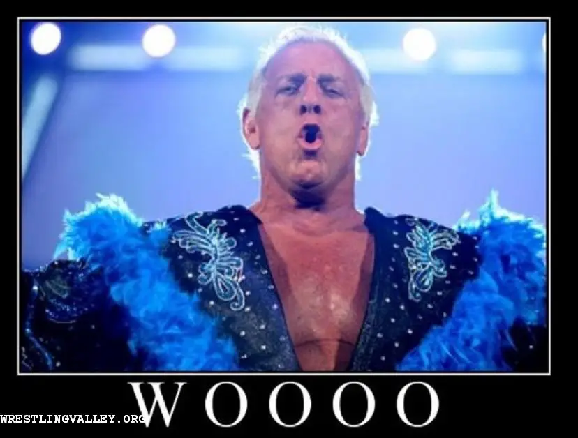 ric-flair-8.jpg