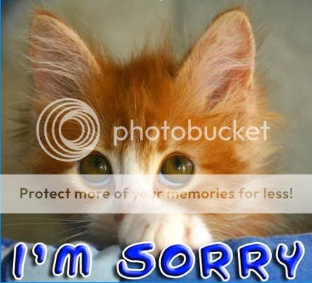 sorry_cat-1.jpg