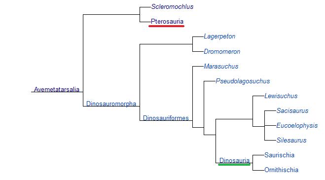 dinosaur-pterosaur-tree.jpg