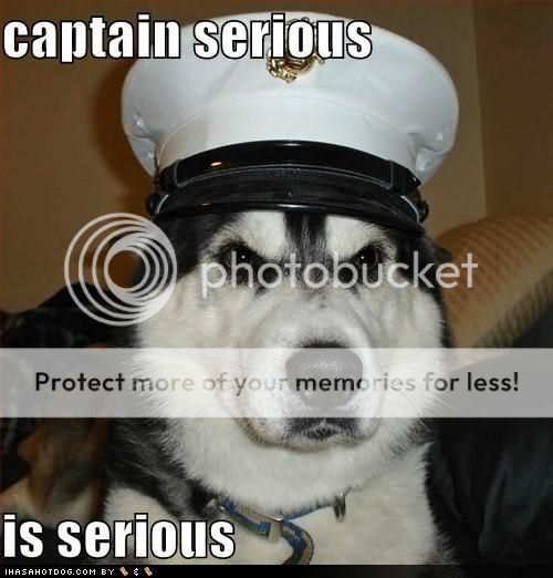 funny-dog-pictures-captain-serious.jpg