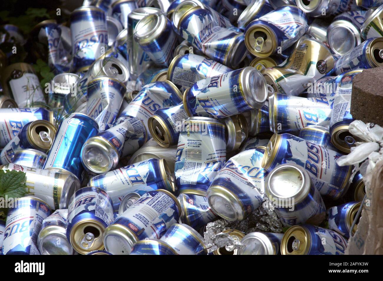 pile-of-empty-busch-beer-cans-in-private-yard-2AFYK3W.jpg