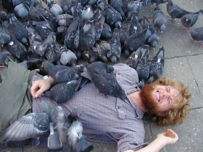 too_many_pigeons.jpg