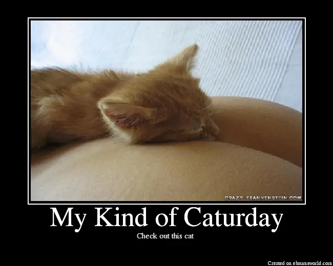 MyKindofCaturday.png