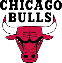 200px-Chicago_Bulls_logo.svg.png