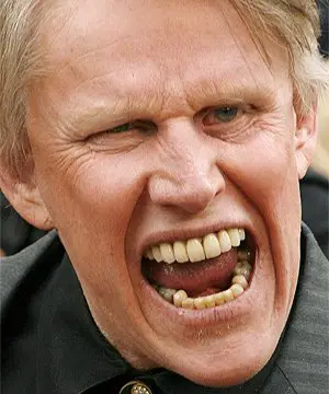 gary_busey_is_angry_interviewer.jpg