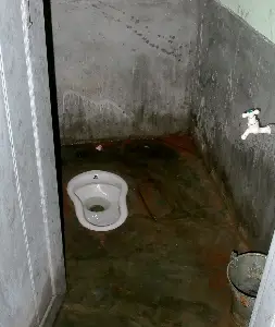 toilet.jpg