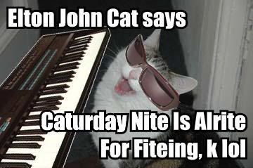 elton-john-cat-says-caturday-nite-i.jpg