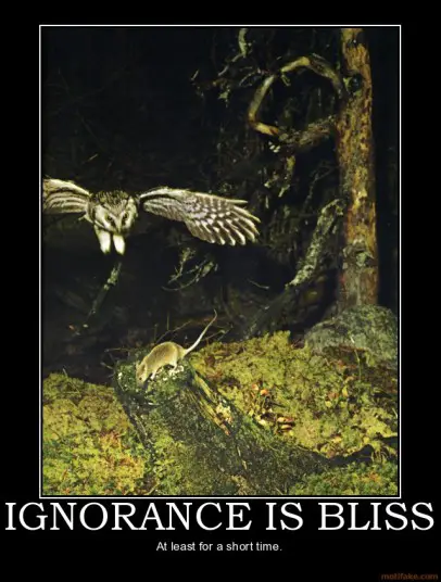 ignorance-is-bliss-ignorance-demotivational-poster-1269472092.jpg