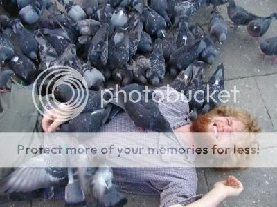 pigeons2.jpg