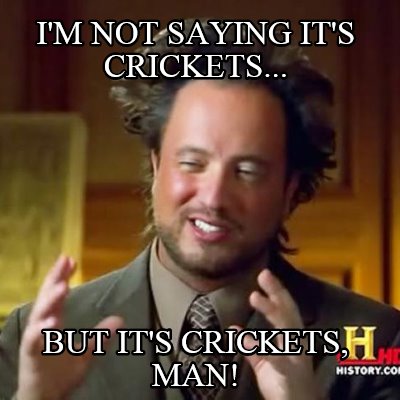 im-not-saying-its-crickets...-but-its-crickets-man